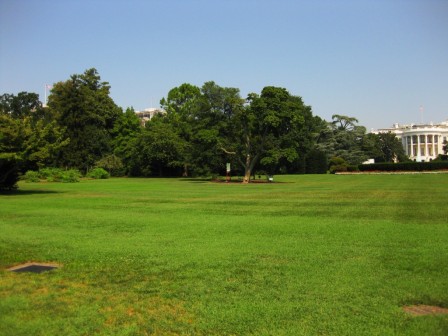 White House, Beehive, and Vegetable Garden. (Click for larger picture.) The garden is at the left, and the beehive is the white box under the tree in the middle of the picture.