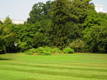 Michelle Obama's Vegetable Garden