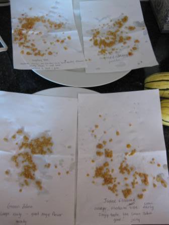 Store seeds on their papers in a quiet place to dry for several days, or longer.