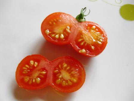 Siamese Twin Tomato