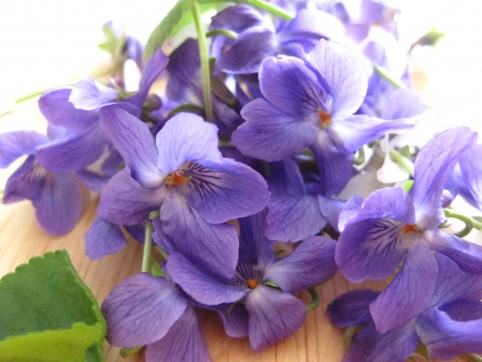 candied violets