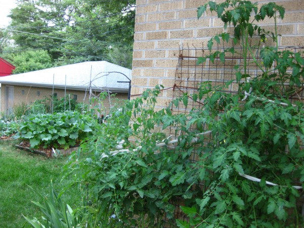 Backyard garden, (c) The Herbangardener 