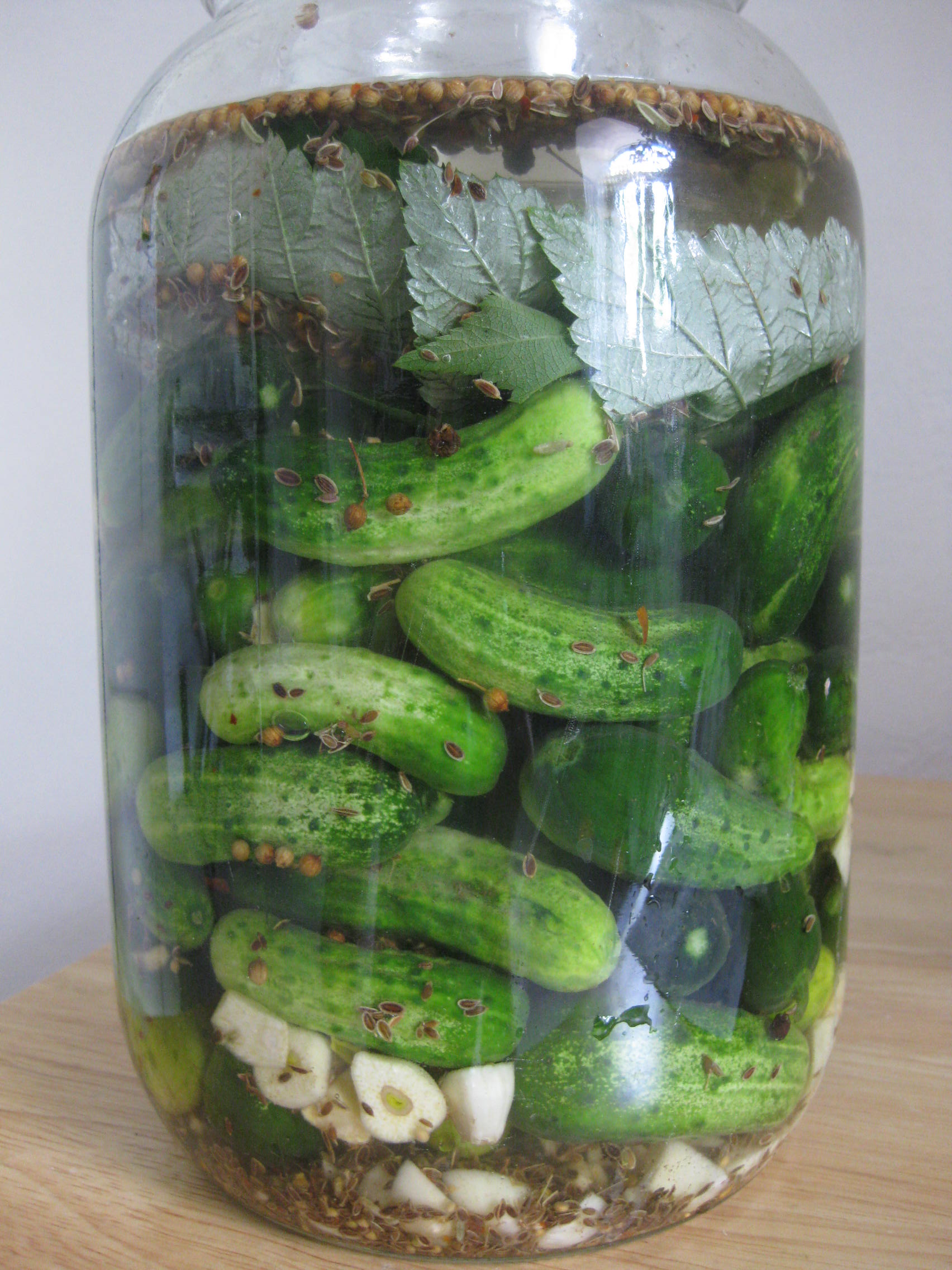 Make Your Own Bubbies Pickles – The Herbangardener